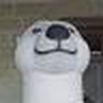 Profile Picture of Benjamin Williams (@benjamincwilliams) on Flickr