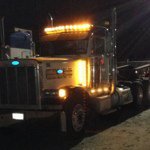 Profile Picture of Calvin (@calvin_dees) on Instagram