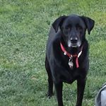Profile Picture of Ricky Lee Cumberledge Sr. (@cumberledgesr.ricky) on Instagram