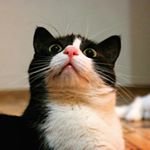 Profile Picture of marilyn_&_mars (@marilyn_and_mars) on Instagram