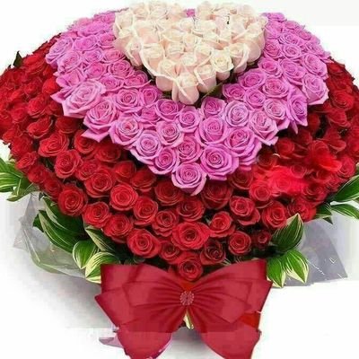 Profile Picture of Ali Reza Mirzai (@alirezamirzai3) on Twitter