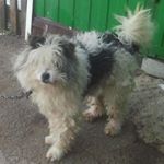 Profile Picture of James Wilson (@haymansanaumov) on Instagram