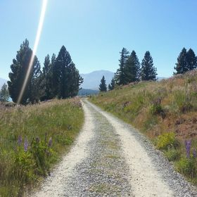 Profile Picture of zoey hicks (@zoeyhicks2134) on Pinterest