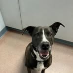 Profile Picture of Cherie McCarty (@Cherie-McCarty) on Facebook