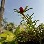 Profile Picture of Sanjay Saravanan (@jeejeebhoy1) on Flickr