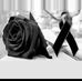 Profile Picture of Erika Estrada (@erika.estrada.758399) on Facebook