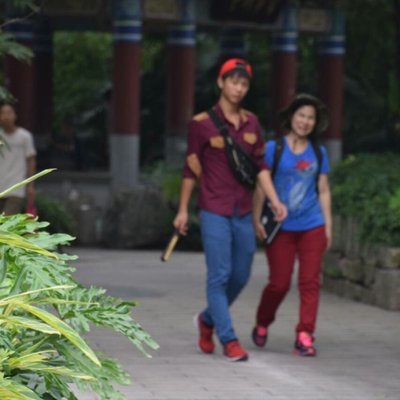 Profile Picture of WeiMing_Zeng (@WeiMing_Zeng) on Twitter