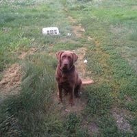 Profile Picture of Lloyd Tyler (@lloyd-tyler) on Quora