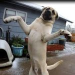 Profile Picture of David Hysell (@davidhysell) on Instagram