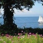 Profile Picture of Pam Paden (@pampaden) on Instagram