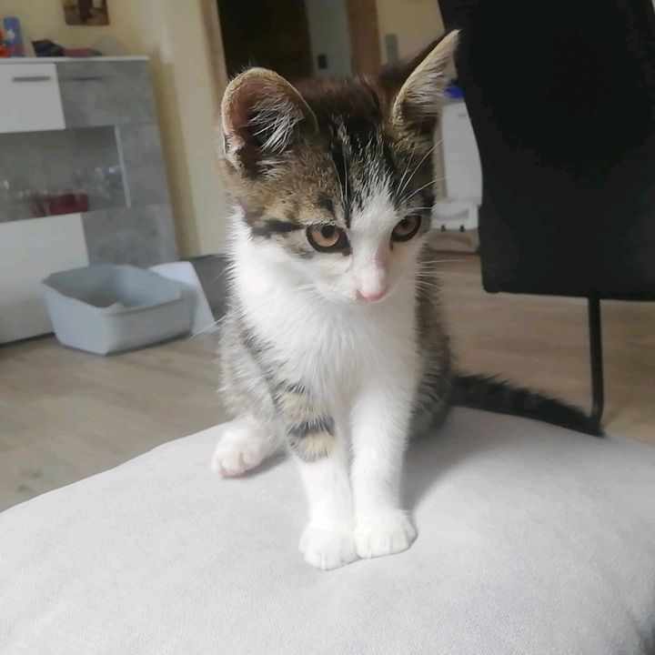 martinraab275 - Tiktok Profile Picture of martinraab275 (@martinraab275) on Tiktok