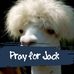Profile Picture of Devan Callison (@devan.callison) on Facebook