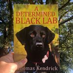 Profile Picture of Thomas Kendrick (@thomaskendrick86) on Instagram