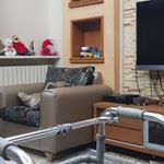 Tarek Haffar - Instagram Profile Picture of Tarek Haffar (@tarekhaffar1979) on Instagram