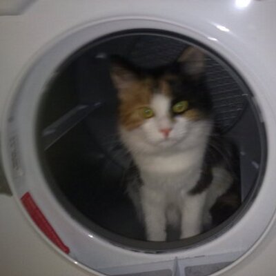 Profile Picture of Ben Wagner (@benwagner1988) on Twitter