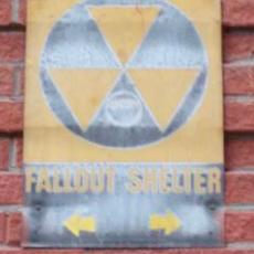 Profile Picture of Daniele Serafini (@DanCeltics) on Twitter