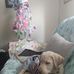 Profile Picture of Kathy Kaczor (@kathy.kaczor.50) on Facebook