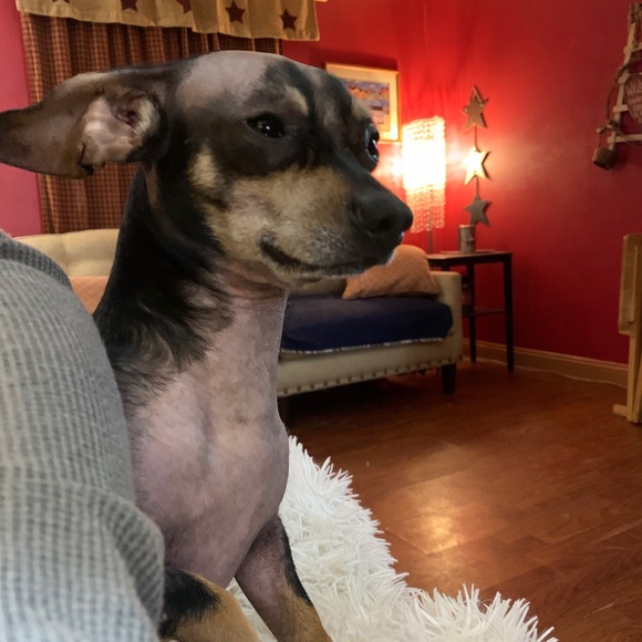 Profile Picture of Nicole Dues (@nicdues) on Poshmark