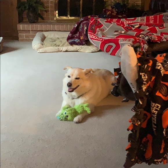 Profile Picture of Sheryl Milasky (@smilasky) on Poshmark