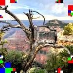 Profile Picture of Kevin Woolsey (@estellakimukraw) on Instagram