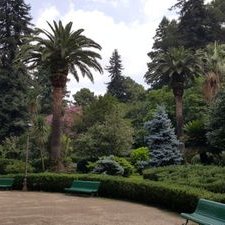 Profile Picture of David Albanesi (@palmen_dave) on Twitter