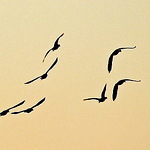 Profile Picture of Therapics (@Therapics) on Flickr