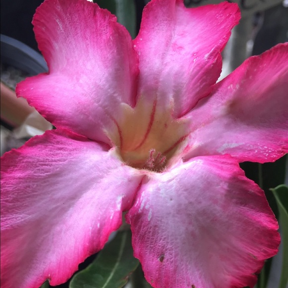 Profile Picture of K Bates (@kerb8s) on Poshmark