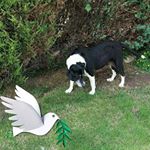 Profile Picture of Steve Whalen (@stevewhalen1966) on Instagram