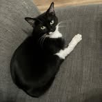 Profile Picture of Dorothy Shumaker (@Dorothy-Shumaker) on Facebook