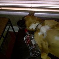 Profile Picture of Camilo Vidal (@camilo-vidal-2) on Quora