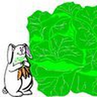 Profile Picture of Peter Lindahl (@peter-lindahl-5) on Quora