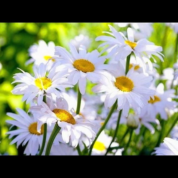 Milana Milana - Poshmark Profile Picture of Milana Milana (@milanaa) on Poshmark