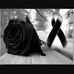 Profile Picture of Carlos Pascual (@carlos.pascual.129142) on Facebook
