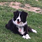 Profile Picture of Sonja Toth (@tothsonja) on Instagram