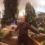 Profile Picture of amirsarraf (@amir.sarraf1958) on Instagram