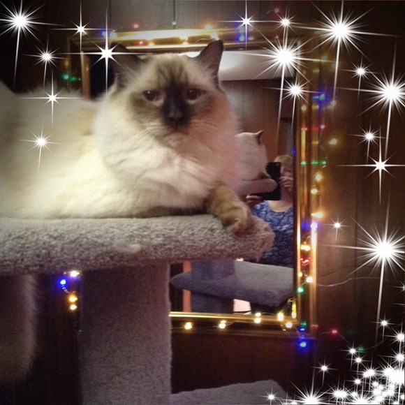 Profile Picture of Debbie Holser (@debanddan) on Poshmark