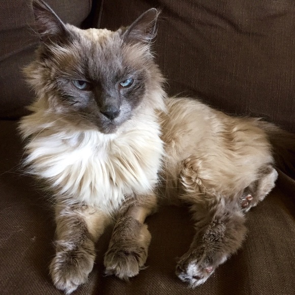 Profile Picture of Sarahjane Kurimsky (@sjanek14) on Poshmark