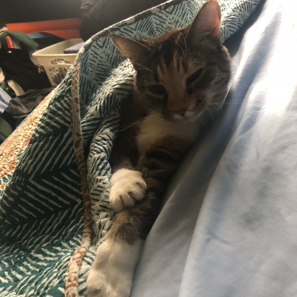 Profile Picture of Tommie Cranker (@tcranker) on Poshmark