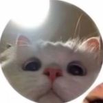 Profile Picture of Anna_Chudina (@anna_chudina07) on Instagram