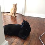 Profile Picture of Ann Mackey (@instannmack) on Instagram