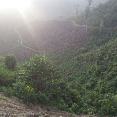 Profile Picture of Wong Ndeso (@PeranataJoni) on Twitter