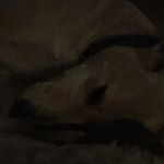 Profile Picture of Sky (@carl.weeks2017) on Instagram