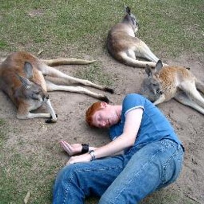 Profile Picture of Scott Fabricant (@safabric) on Twitter