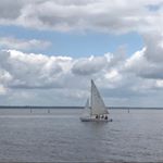 Profile Picture of Basil Kennedy (@basil.kennedy.16) on Instagram