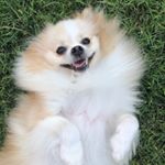 Profile Picture of 🐻Joseph 🐻 (@joseph.heflin) on Instagram