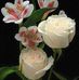 Profile Picture of Dinesh Krishna (@dinesh.krishna.33821) on Facebook