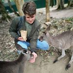 Profile Picture of Matthew Hodges (@matthew2hodges) on Instagram