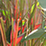 Profile Picture of Nancy Thomas (@toolgram) on Flickr