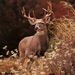 Profile Picture of Danny McLean (@dannymclean26) on Pinterest
