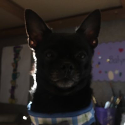 Profile Picture of Skylar Stevenson (@SkylarStevenso3) on Twitter